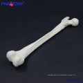 PNT-7001 high quality life size thighbone femur bone model